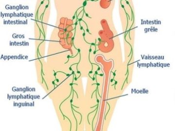 🙌 LE DRAINAGE LYMPHATIQUE PAR LA REFLEXOLOGIE 🙌

💡 Le drainage lymphatique par la réflexologie est une technique de massage douce et rythmée qui peut aider à...